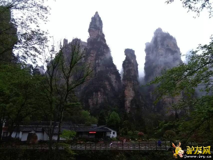 金鞭溪.jpg